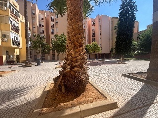 Salina La 11