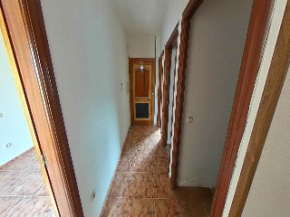 Romero 67