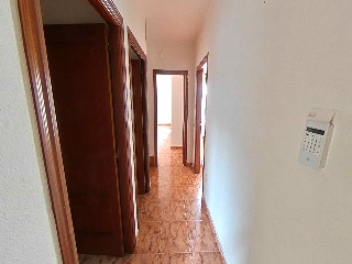 Romero 71