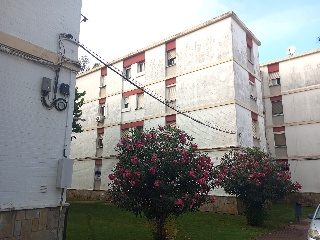 Cepsa 9