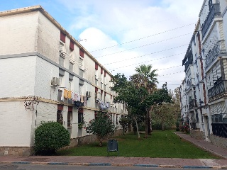 Cepsa 12