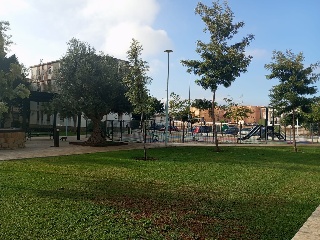 Cepsa 13