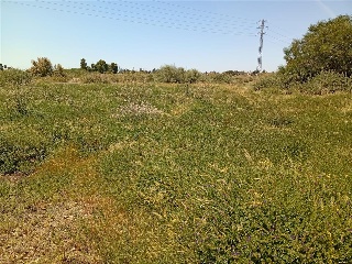ENSANCHE SUR. HUELVA 14
