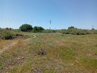 ENSANCHE SUR. HUELVA 21