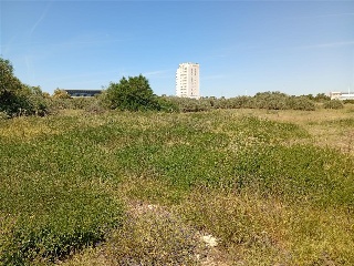 ENSANCHE SUR. HUELVA 22