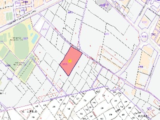 Suelo urbanizable delimitado en Cr. Murcia, Jumilla (Murcia) 2