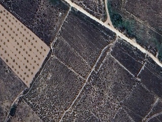 Suelo urbanizable delimitado en Cr. Murcia, Jumilla (Murcia) 3