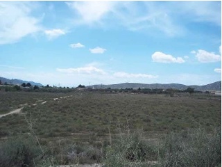 Suelo urbanizable delimitado en Cr. Murcia, Jumilla (Murcia) 6