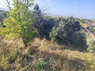 Vivienda en C/ Dehesa La Jara Baja, Chinchón (Madrid) 7