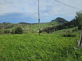 02624-0001 2