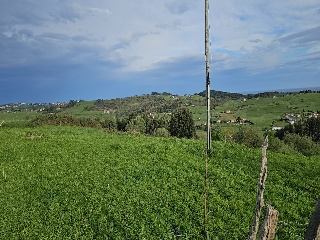 02624-0001 3