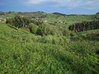 02624-0001 4