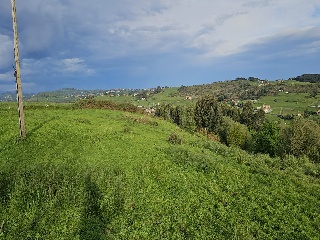 02624-0001 5
