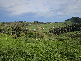 02624-0001 6