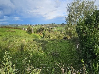 02624-0001 8