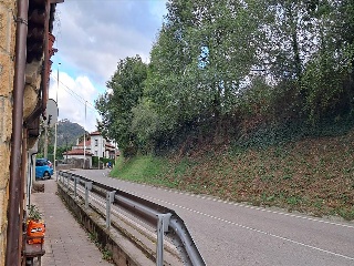 Ceceñas 7