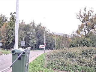 Ceceñas 8