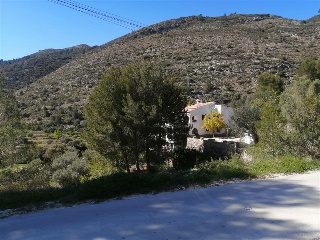 Solana S.A 5