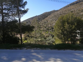 Solana S.A 6
