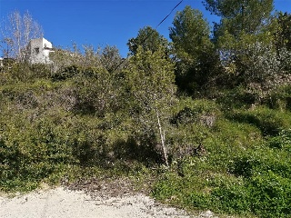 Solana S.A 7