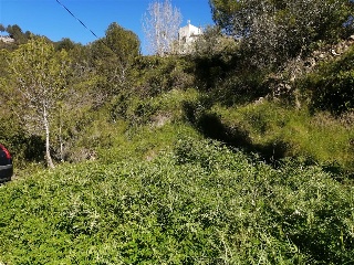 Solana S.A 10