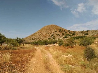 Nº 81 Parcela 397. Bancal El Moro 5