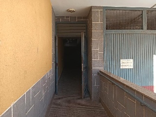 Joaquinico 6