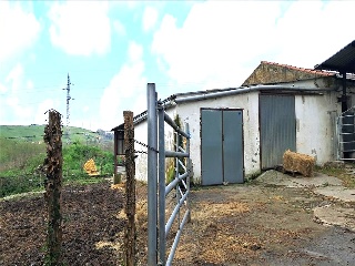 Bojuenga 8