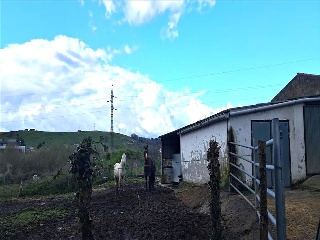 Bojuenga 9