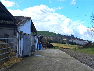 Bojuenga 11