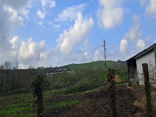 Bojuenga 12