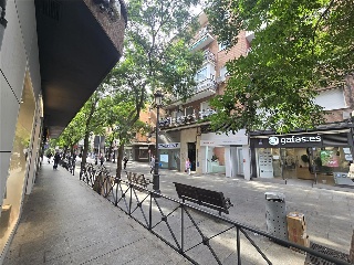 MAYOR 8