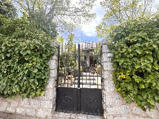 Olmos 6