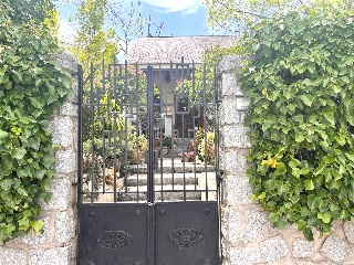 Olmos 7
