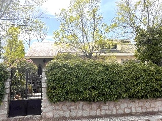Olmos 8