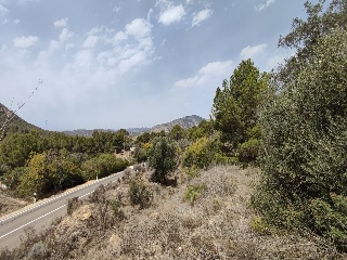 Foya Del Cac 19