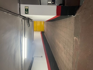 CARANAVAJOS 8