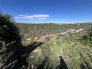 PUIG DE BASSEGODA 15
