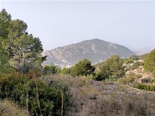 FOYA DEL CAC 25