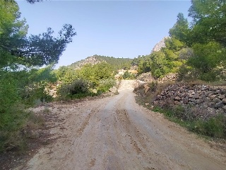 FOYA DEL CAC 29