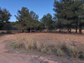 Suelo urbanizable en Camí del Moro 7