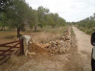 Suelo urbanizable no sectorizado en Paraje del Moro 13