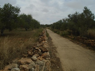 Suelo urbanizable no sectorizado en Paraje del Moro 15