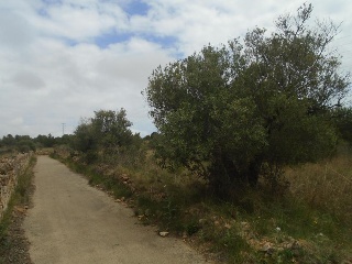 Suelo urbanizable no sectorizado en Paraje del Moro 17
