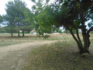 Suelo urbanizable no sectorizado en Paraje del Moro 19