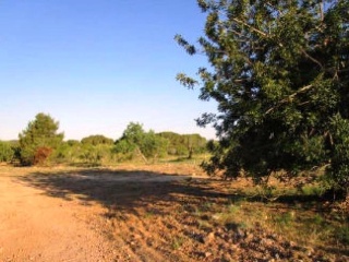 Suelo Urbanizable en Torredembarra (Tarragona) 6