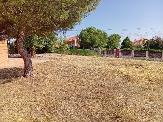 Chalet independiente en Colmenar de Oreja 29