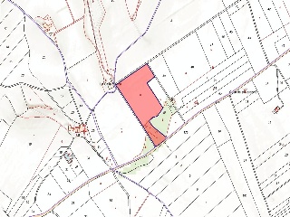 Terreno rustico en Partida de Alhorines, Villena (Alicante) 2