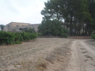 Terreno rustico en Partida de Alhorines, Villena (Alicante) 7