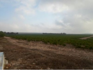 Terreno rustico en Partida de Alhorines, Villena (Alicante) 10